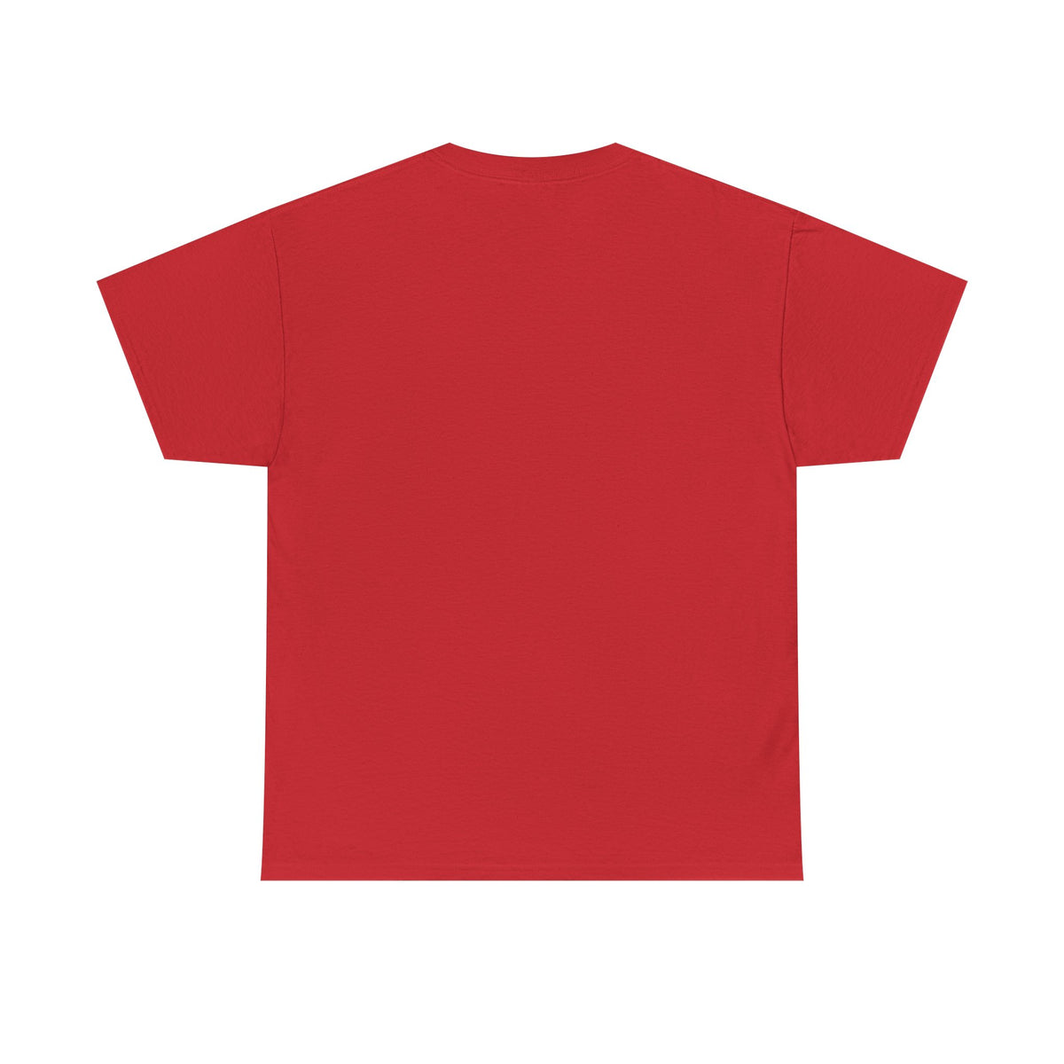 Creator of Creation Christian T‑Shirt — I Know The Creator Gospel Tee