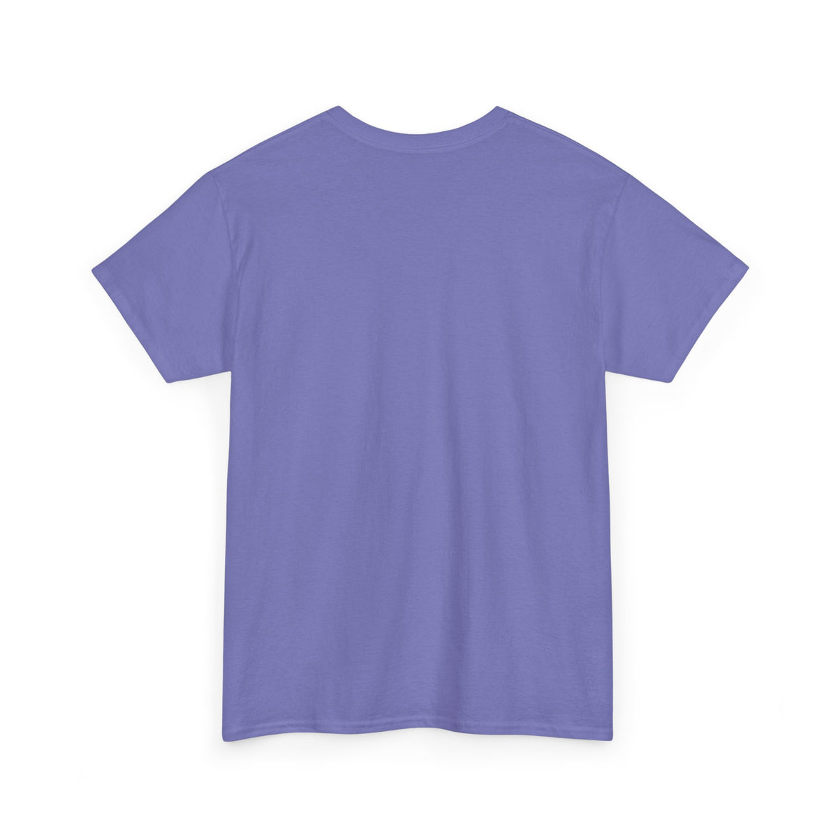 Creator of Creation Christian T‑Shirt — I Know The Creator Gospel Tee
