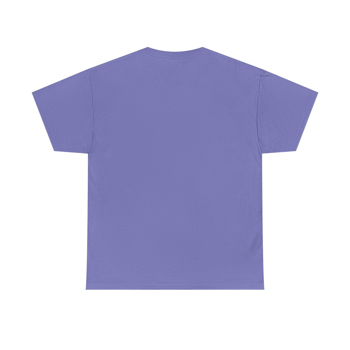 Creator of Creation Christian T‑Shirt — I Know The Creator Gospel Tee
